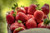 Jual Poster Berry Fruit Strawberry Fruits Strawberry2 APC 002
