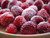 Jual Poster Berry Macro Raspberry Food Raspberry APC