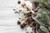 Jual Poster Cinnamon Cookie Marshmallow Still Life Food Marshmallow5 APC