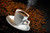Jual Poster Coffee Beans Cup Food Coffee APC 006