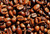 Jual Poster Coffee Beans Food Coffee APC 024