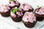 Jual Poster Cream Cupcake Sweets Food Cupcake8 APC