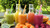 Jual Poster Drink Fruit Kiwi Kumquat Raspberry Smoothie Food Smoothie APC 002 Jual Poster Drink Fruit Kiwi Kumquat Raspberry Smoothie Food Smoothie APC 002