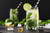Jual Poster Drink Glass Mint Mojito Still Life Food Cocktail4 APC