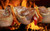Jual Poster Food Barbecue APC 013