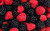 Jual Poster Food Berry APC 003