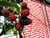 Jual Poster Food Berry APC 033