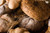Jual Poster Food Bread APC 008