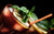 Jual Poster Food Cocktail APC 022