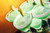 Jual Poster Food Cocktail APC 055
