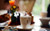 Jual Poster Food Coffee APC 153