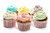 Jual Poster Food Cupcake APC 016