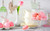 Jual Poster Food Macaron APC 003