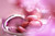 Jual Poster Food Macaron APC 006