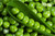 Jual Poster Food Pea APC 003