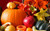 Jual Poster Food Pumpkin APC 003