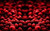 Jual Poster Food Raspberry APC 001