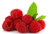 Jual Poster Food Raspberry APC 022
