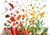 Jual Poster Food Still Life2 APC
