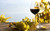 Jual Poster Food Wine APC 064