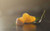 Jual Poster Fruit Mandarin Fruits Mandarin APC 006