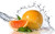 Jual Poster Fruits Orange APC 013
