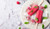 Jual Poster Ice Cream Ice Cube Raspberry Food Ice Cream APC