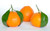Jual Poster orange (Fruit) Fruits Orange APC
