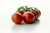 Jual Poster Tomato Fruits Tomato APC 008
