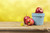 Jual Poster Apples Bucket Three 3 1Z