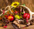 Jual Poster Autumn Sunflowers Apples Nuts Pears Berry Pine 1Z