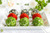 Jual Poster Balls 1Z