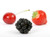 Jual Poster Berry Blackberry Cherry Strawberry White 1Z