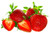 Jual Poster Berry Strawberry Closeup 1Z 008