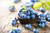 Jual Poster Blueberries Closeup Berry 1Z
