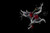 Jual Poster Cherry Black background Spray 1Z