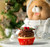 Jual Poster Christmas Sweets Cake 1Z 002