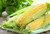 Jual Poster Corn Closeup 1Z 004