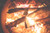Jual Poster Fire Bonfire Marshmallow 1Z