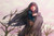 Poster Glass (The Rising of the Shield Hero) Anime The Rising of the Shield Hero APC