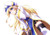 Poster Goblin Slayer Priestess (Goblin Slayer) Anime Goblin Slayer APCA
