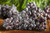 Jual Poster Grapes Closeup 1Z 003