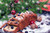 Jual Poster Holidays Christmas 1Z 048