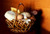 Jual Poster Holidays Easter Cheese Sausage Kulich Daffodils 1Z