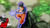 Poster Goku Dragon Ball Dragon Ball Super APC042A