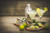 Jual Poster Lime Cocktail Stemware 1Z