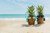 Jual Poster Pineapples Sea Glasses Headphones Beach Sand 1Z