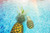 Jual Poster Pineapples Water Pools 1Z