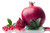 Jual Poster Pomegranate Closeup 1Z 002