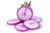 Jual Poster Radishes White background Sliced food 1Z